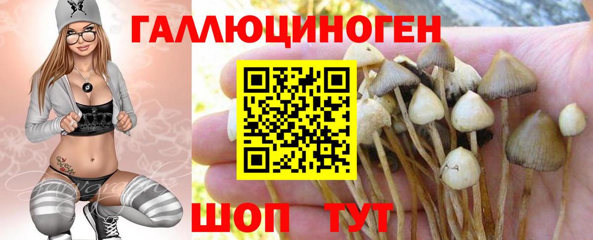 Псилоцибиновые грибы прущие грибы Еманжелинск